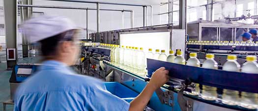 A man working on a bottling production line