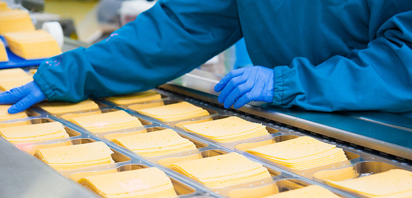 Cheese about to be sealed in a production line