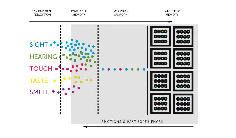 Process the brain uses to convert information to long-term memory.