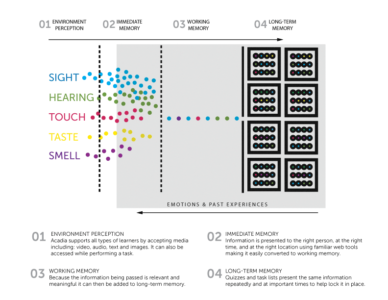 How the brain learns served as the compass for developing the Acadia Performance Platform. 