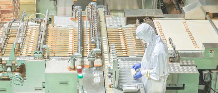 A person working on a food manufacturing line.